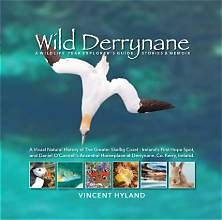 Cover of Wild Derrynane by Vincent Hyland &mdash; a gannet in flight over the Skellig Coast